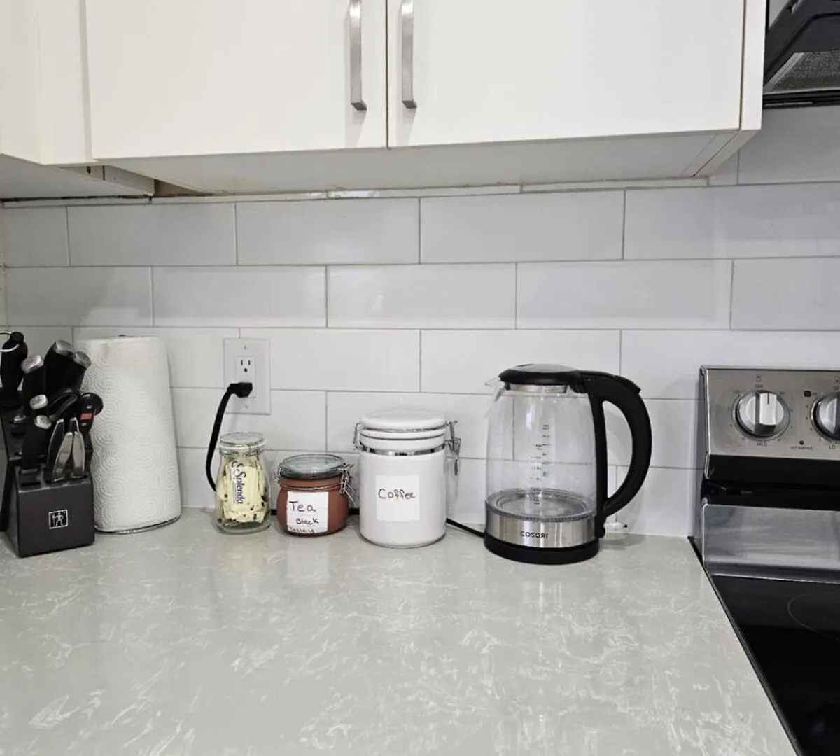 A Pet Lovers Paradise Toronto Holiday home