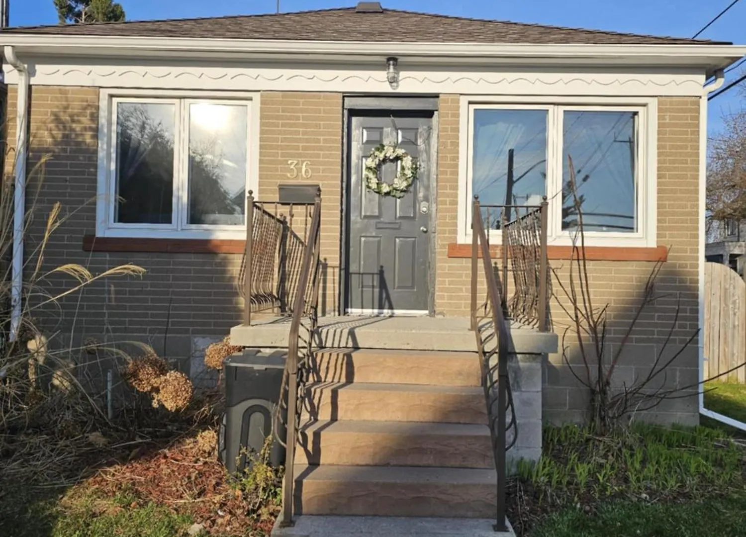 A Pet Lovers Paradise Toronto
